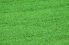 Grass Hintergrund