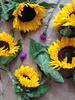 Sonnenblumen und Disteln