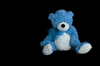 blauen Teddybären