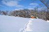 Winterlicher Weg zum Schuppen