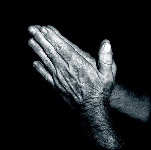 Praying Hands - Duotone