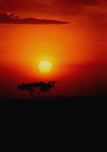 Afrikanischen Sonnenuntergänge: 