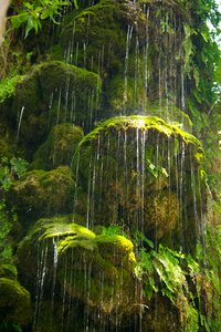 Grüne Wasserfall