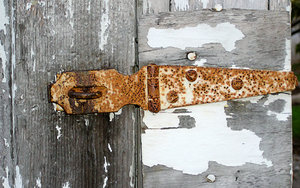 Old Rusted Hinge: 