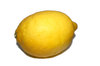 Zitrone 1
