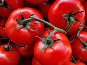Reben reifen tomatoes6