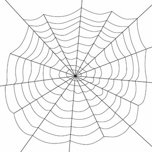 Das Netz der Spinne 2