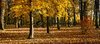 Herbst-Park 1