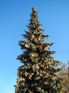 geschmückten Weihnachtsbaum: 