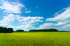 Green Meadows - blauen Himmel